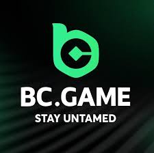 Exploring the Legitimacy of BCGame.sk Is It a Reliable Gaming Platform