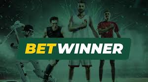 BetWinner Online Bookmaker Your Guide to Betting Success