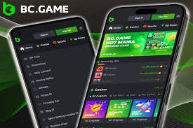 Exploring BC.Game Application in India A Comprehensive Guide